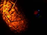 20121208ip5 108